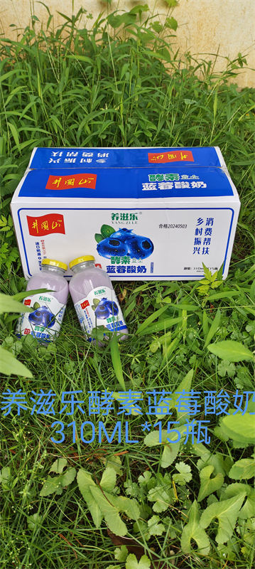 養(yǎng)滋樂(lè)酵素藍(lán)莓酸奶